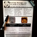 Now On Sale At DC Homebrew Shop