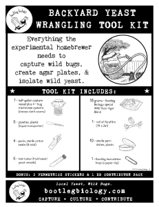 Backyard Yeast Wrangling Tool Kit Info Sheet